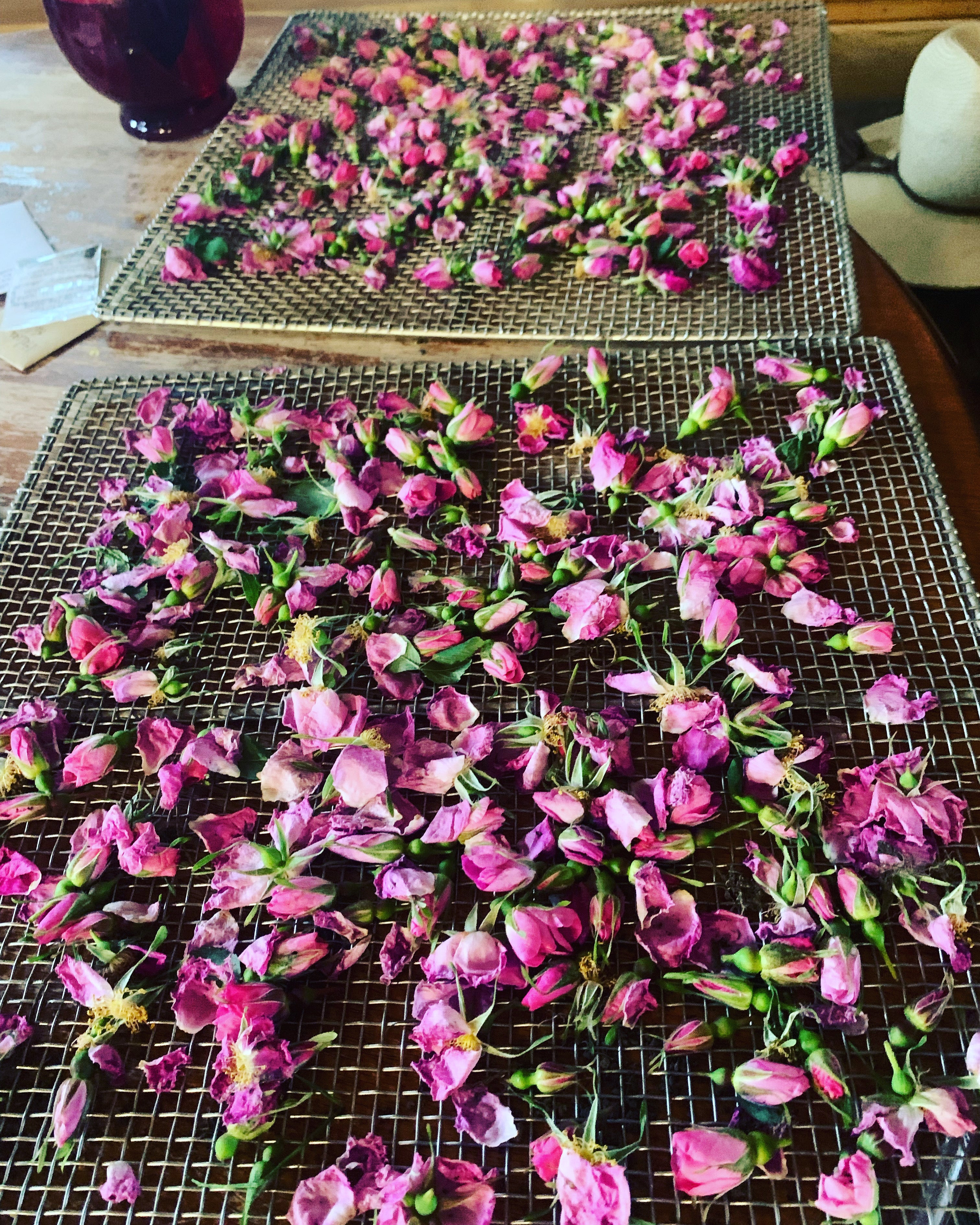 Calendula Rose Whipped Body Butter 4oz